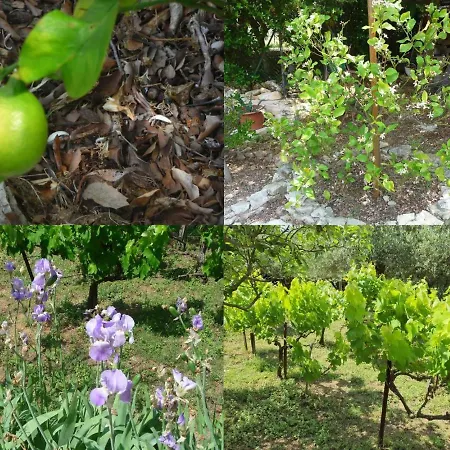 Des Masques 3* Aubais